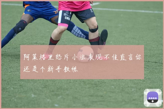 阿莱格里怒斥小法表现不佳直言你还是个新手教练
