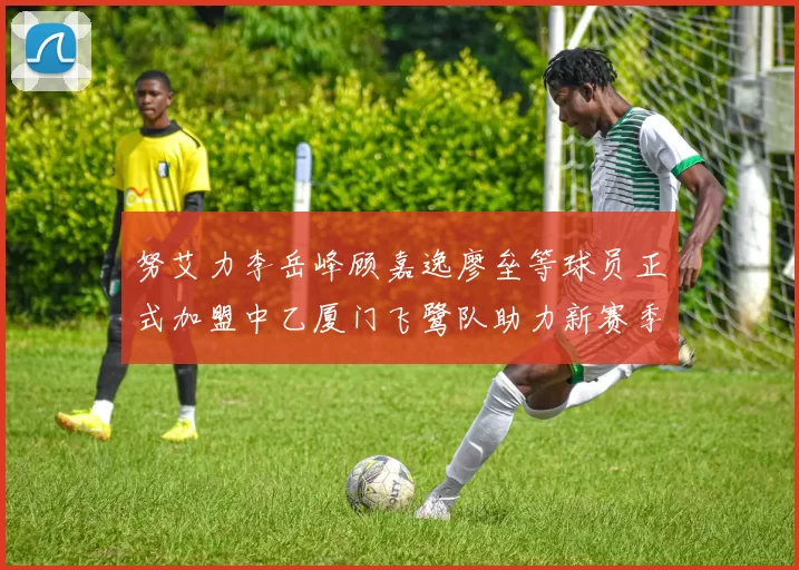 努艾力李岳峰顾嘉逸廖垒等球员正式加盟中乙厦门飞鹭队助力新赛季